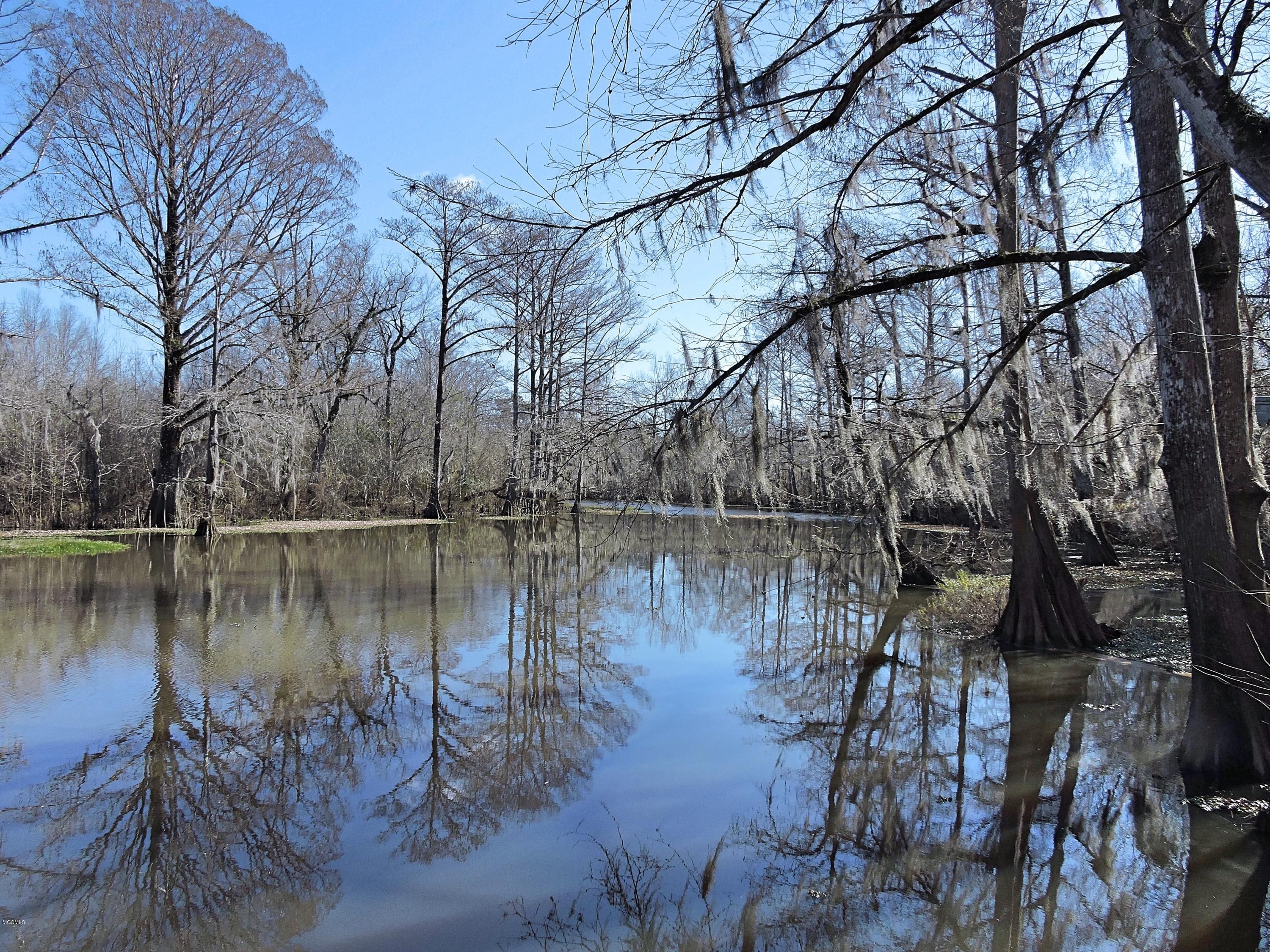 Leakesville, Greene County, MS Undeveloped Land for sale Property ID