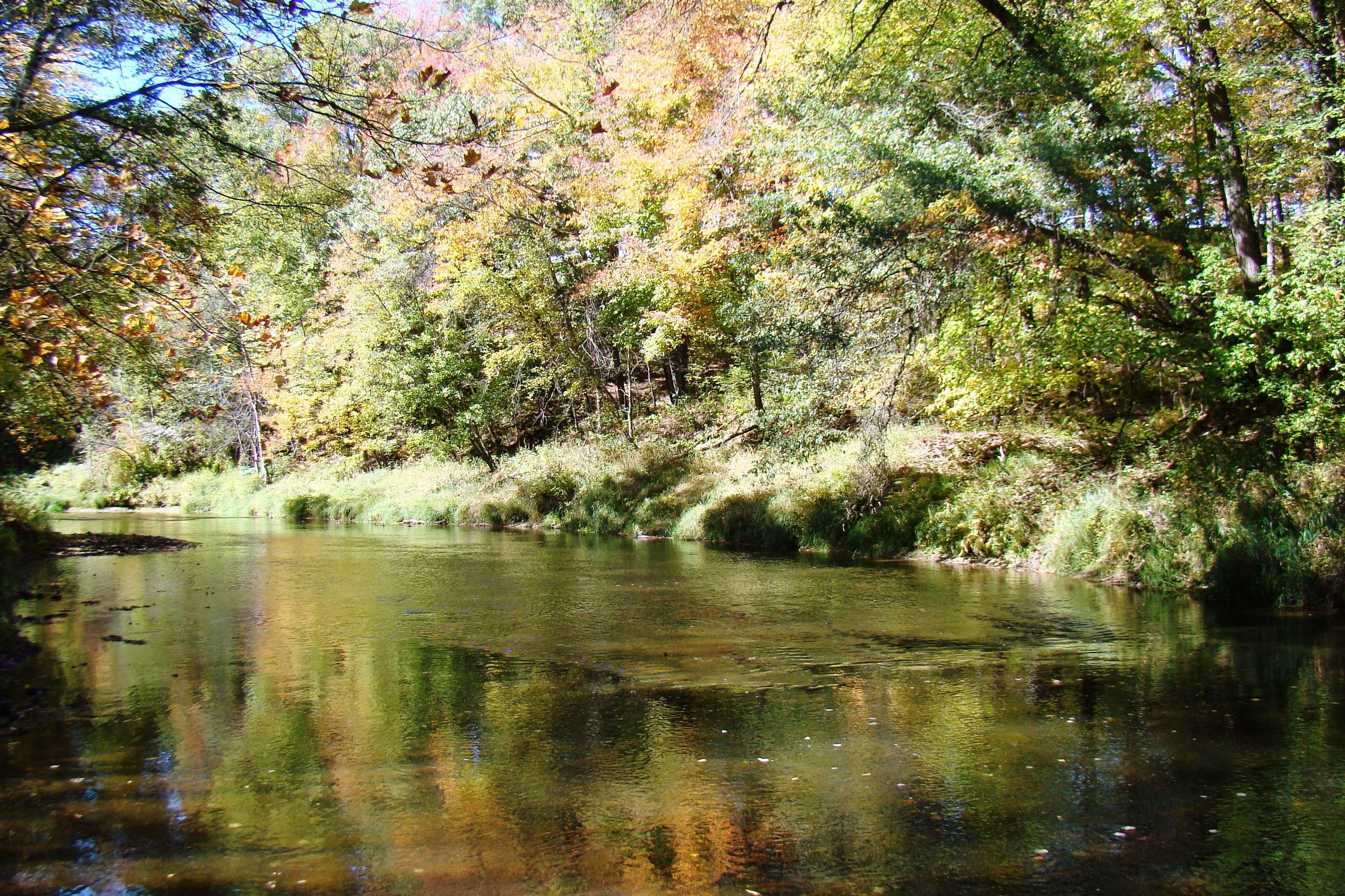 Necedah, Juneau County, WI Recreational Property, Undeveloped Land