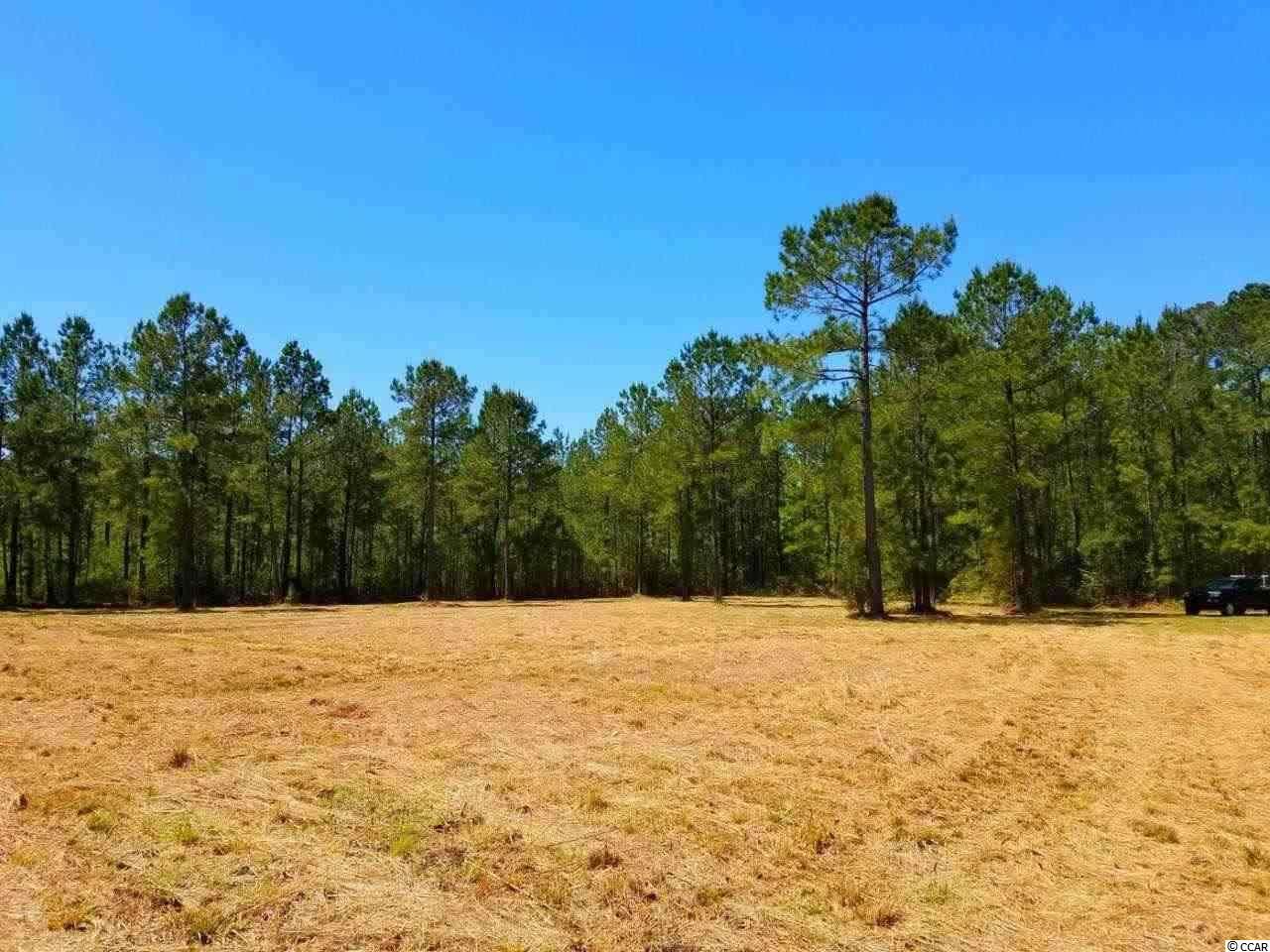 County, SC Undeveloped Land for sale Property ID