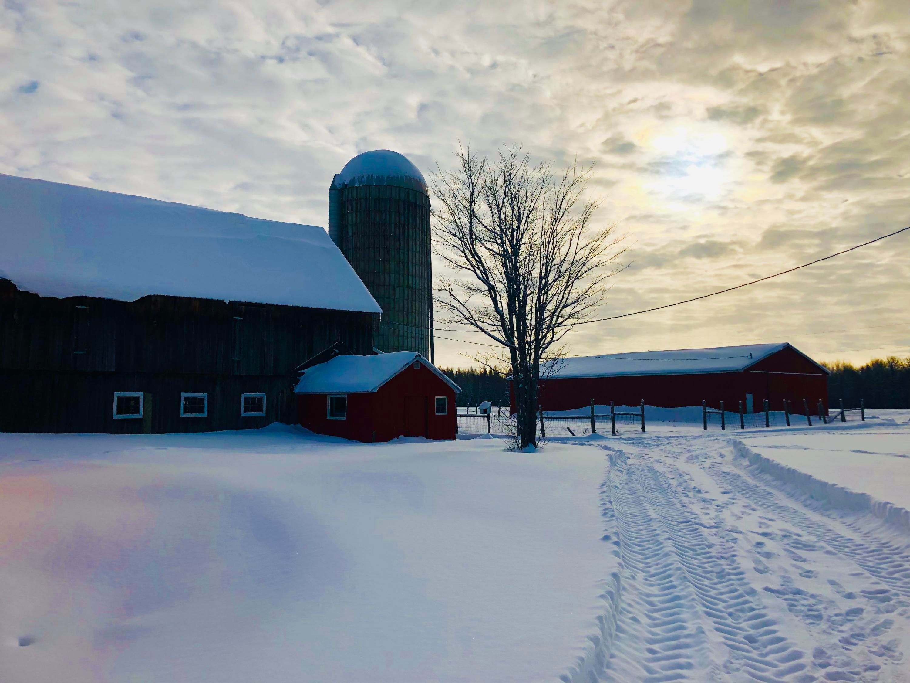 Brimley, Chippewa County, MI Farms and Ranches for sale Property ID