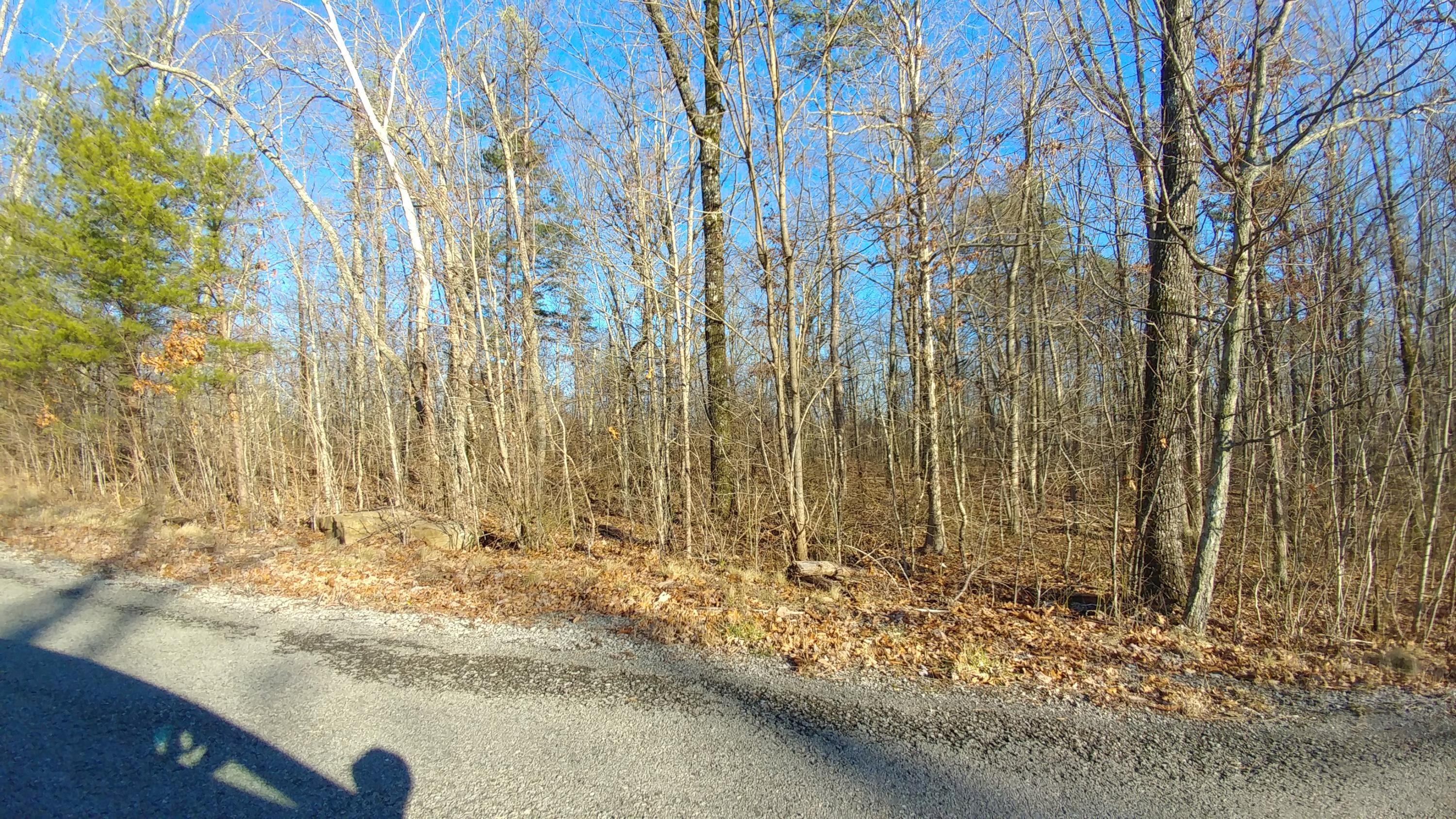 Dunlap, Sequatchie County, TN Undeveloped Land for sale Property ID