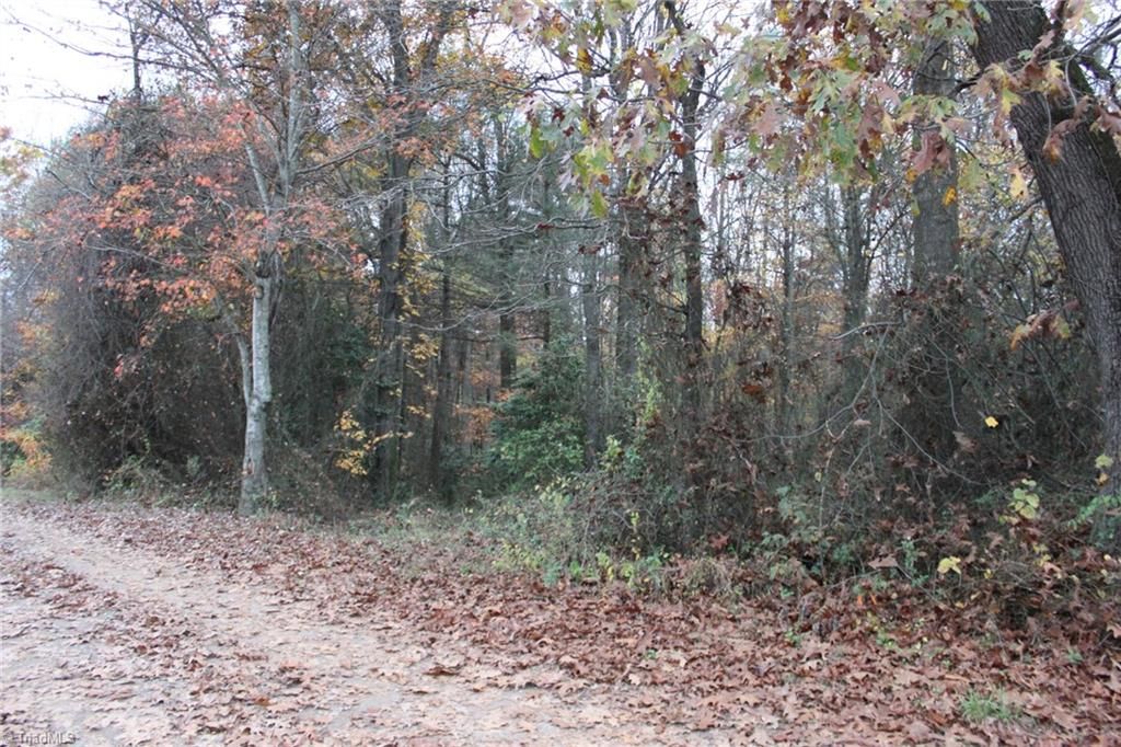 Traphill, Wilkes County, NC Undeveloped Land, Homesites for sale