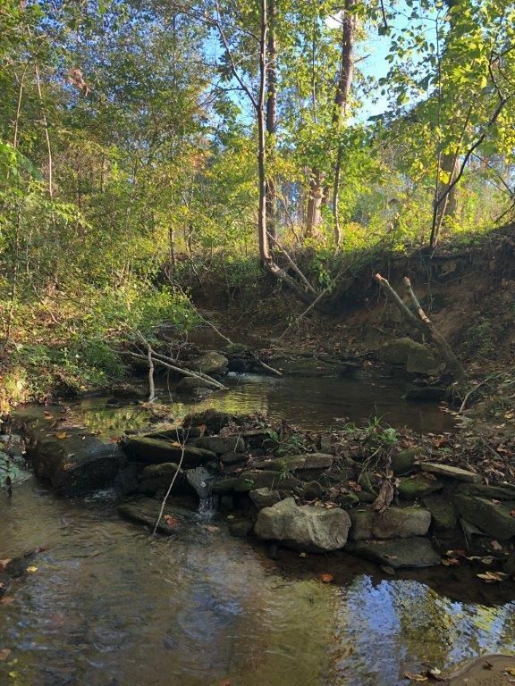 Kesler Road, Carnesville, GA 30521 LandWatch