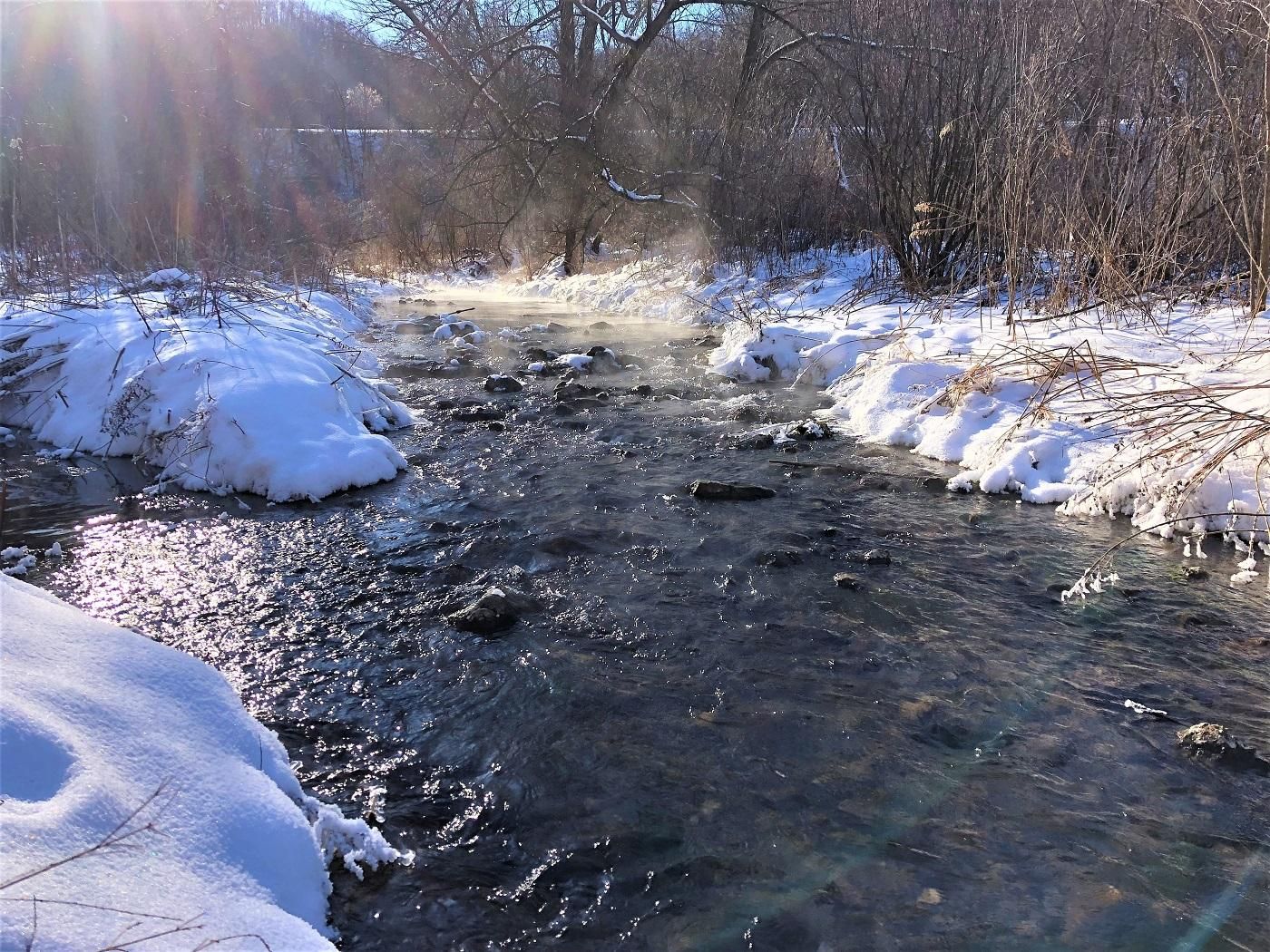 Lewiston, Winona County, MN Recreational Property, Undeveloped Land