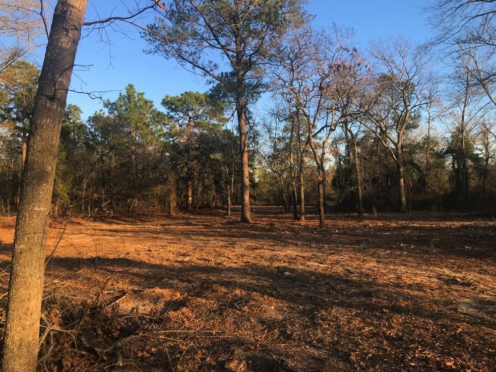 Elgin, Kershaw County, SC Undeveloped Land, Commercial Property for