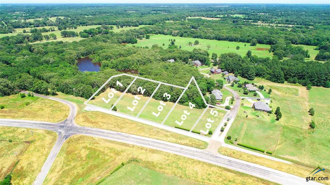 Mount Pleasant, Titus County, TX Undeveloped Land for sale Property ID