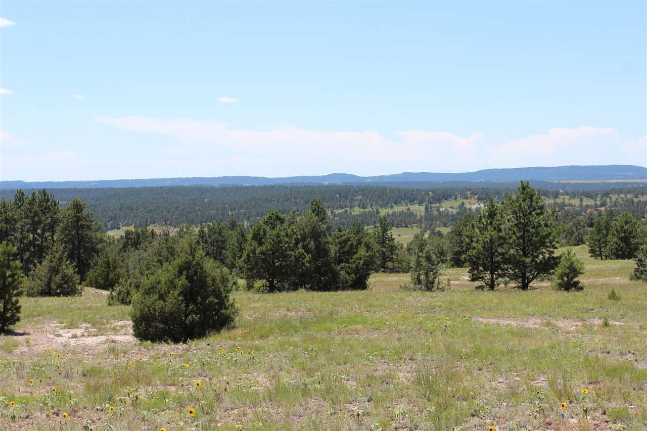 Custer, Custer County, SD Undeveloped Land for sale Property ID