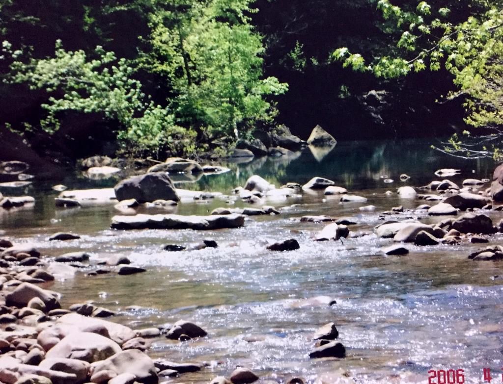 Wilder, Fentress County, TN Undeveloped Land for sale Property ID