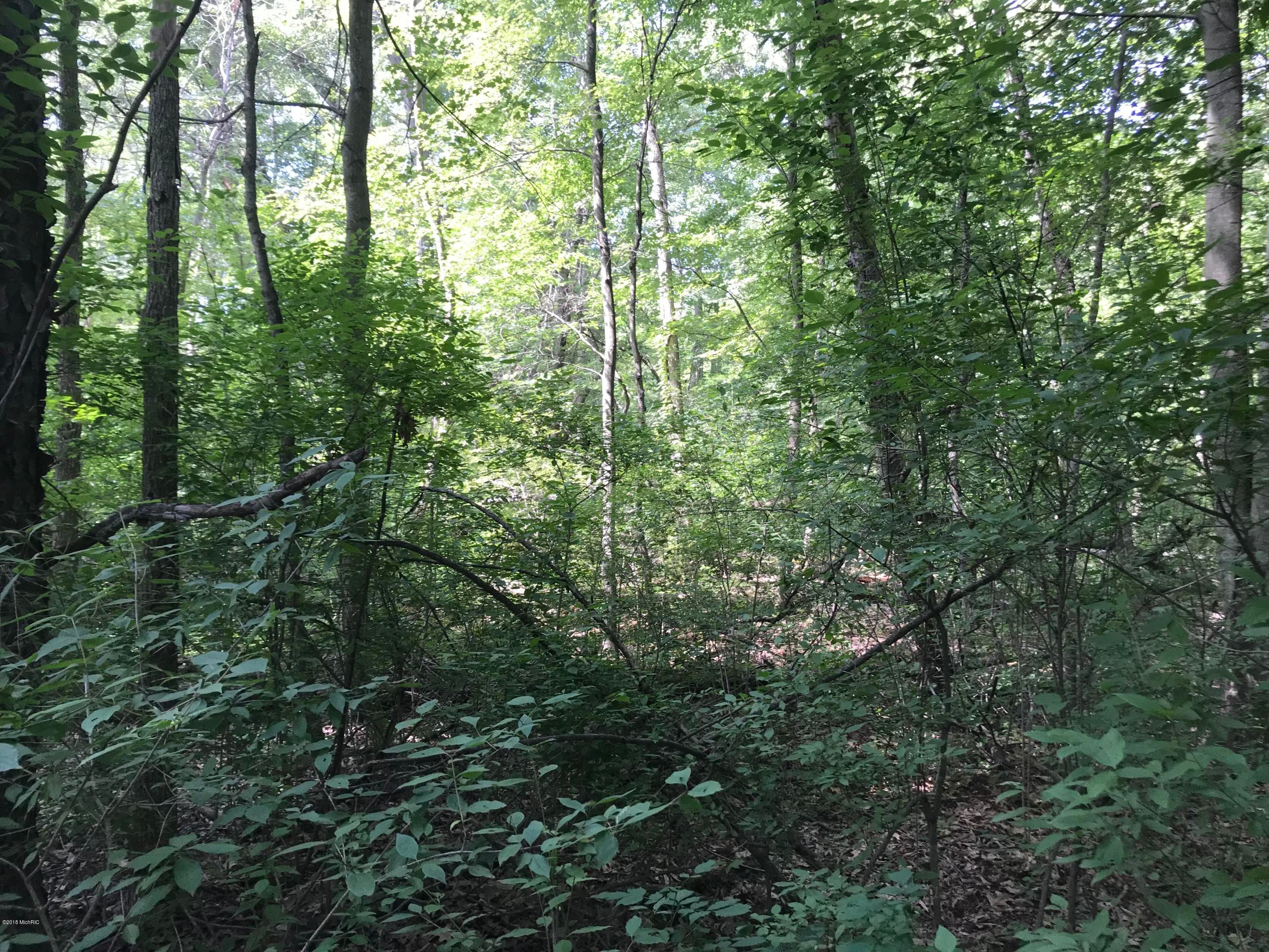 Nunica, Ottawa County, MI Undeveloped Land, Homesites for sale Property
