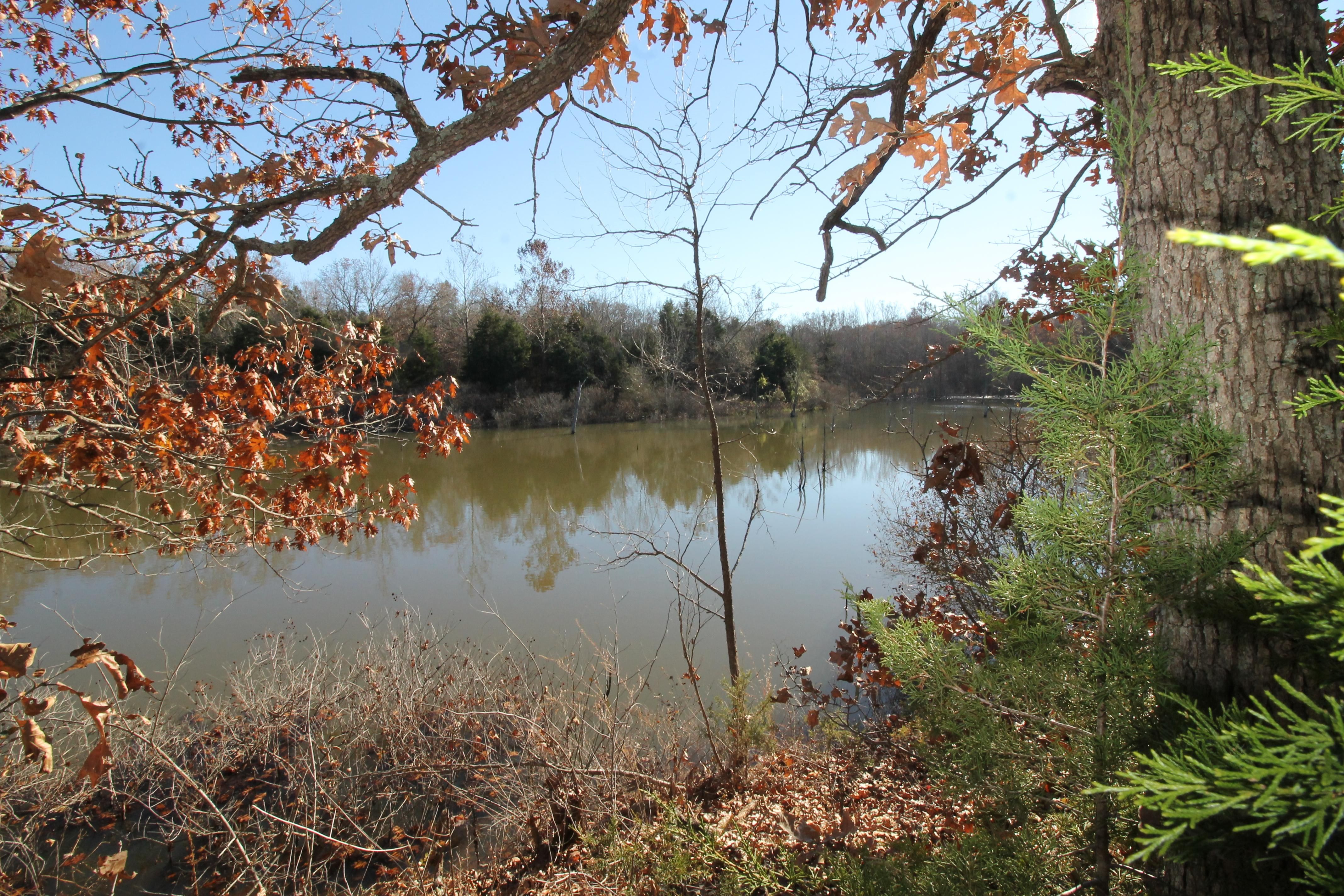 Bischoff Lane, Mineral Point, MO 63660 MLS 18088434 LandWatch