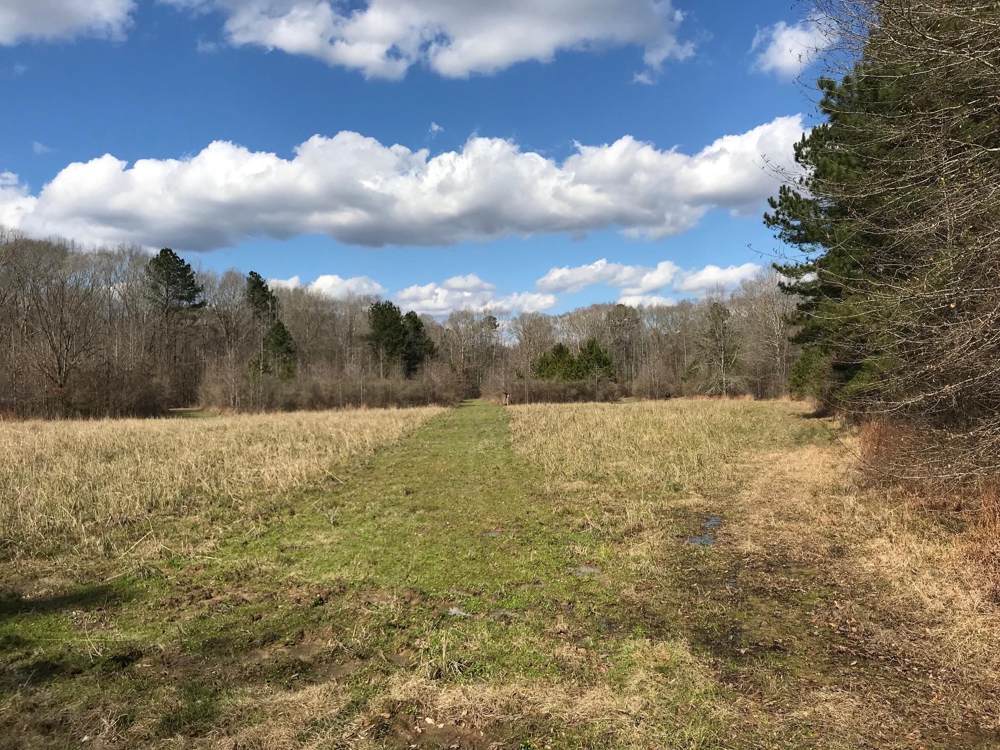 Union Church, Jefferson County, MS Recreational Property, Timberland