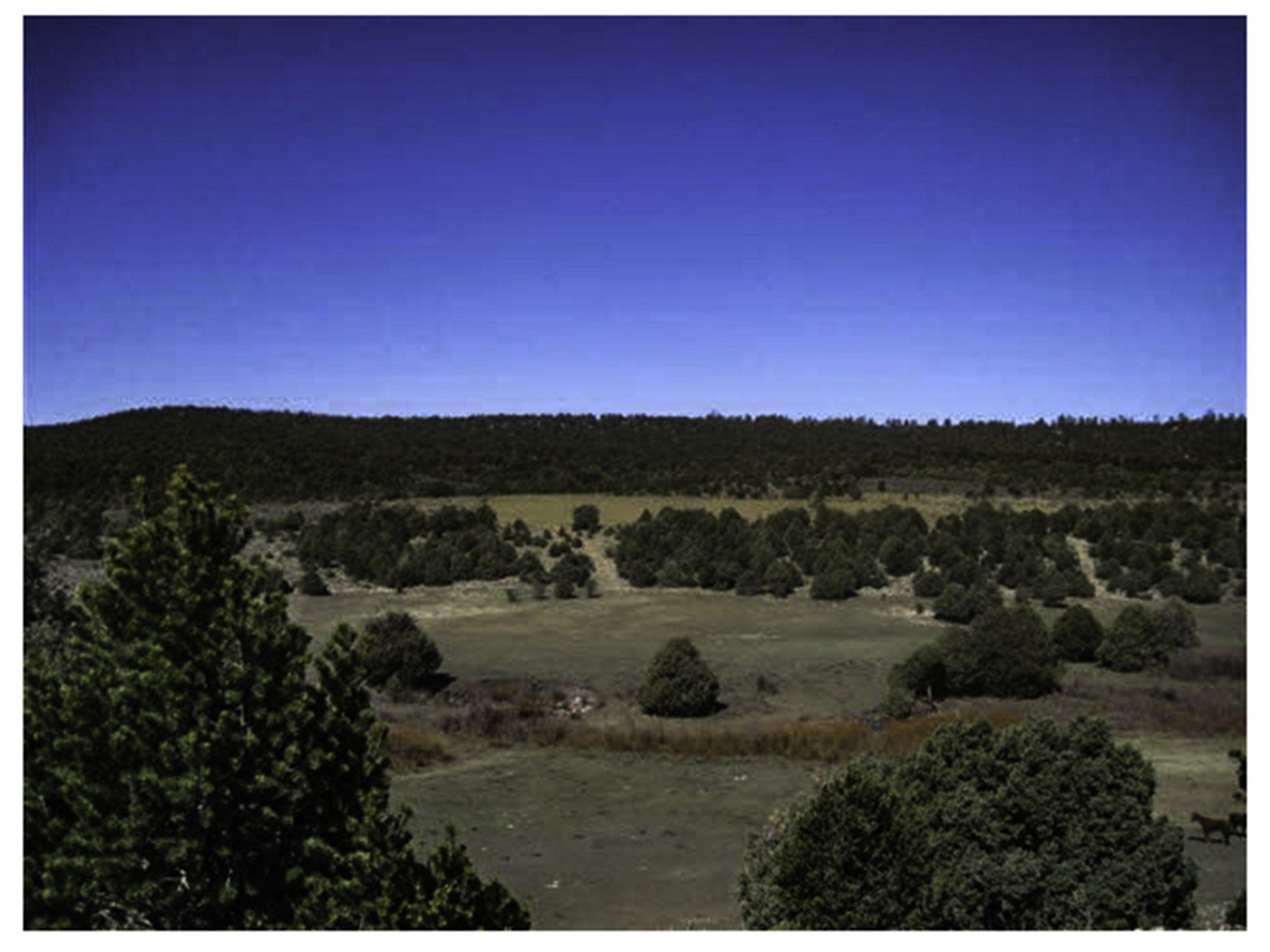 Canjilon, Rio Arriba County, NM Undeveloped Land, Homesites for sale