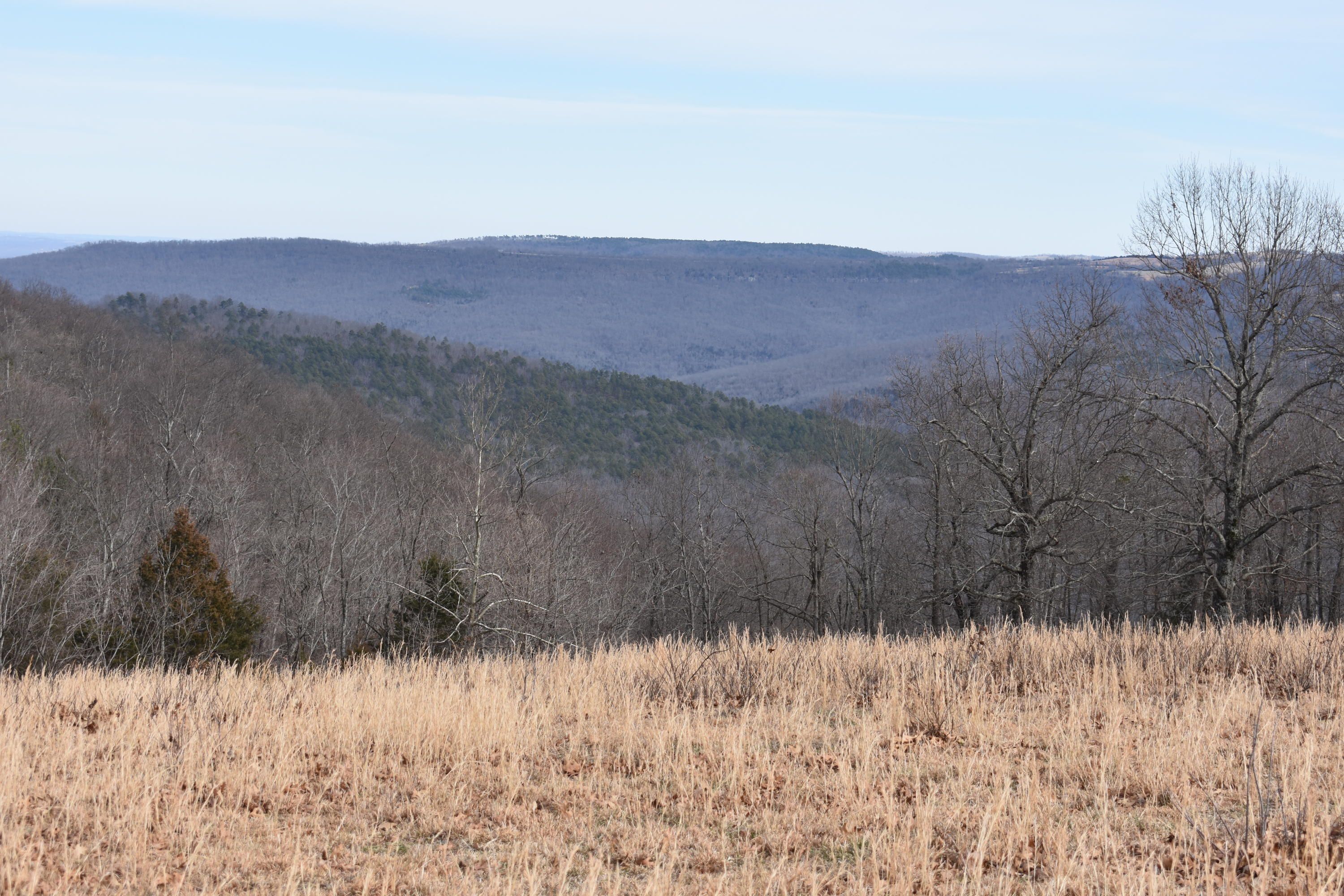 Witts Springs, Searcy County, AR Undeveloped Land for sale Property ID