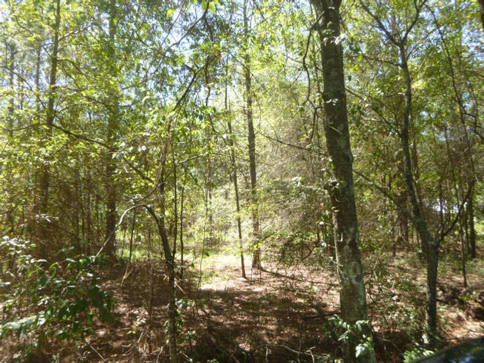 295 Youngblood Road, Sylvester, GA 31791 MLS 126572 LandWatch