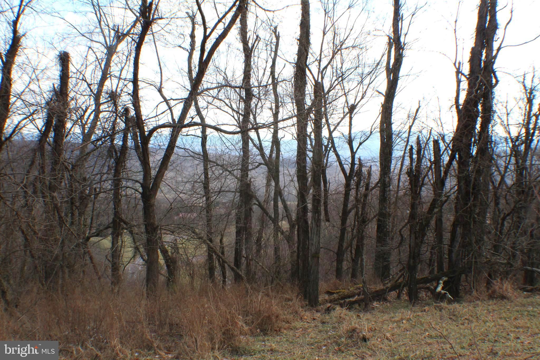 Romney, Hampshire County, WV Undeveloped Land, Homesites for sale