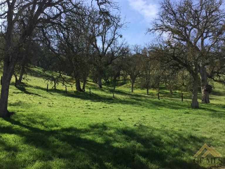1.56 acres in Glennville, CA, 93226 MLS 21900938 LandWatch