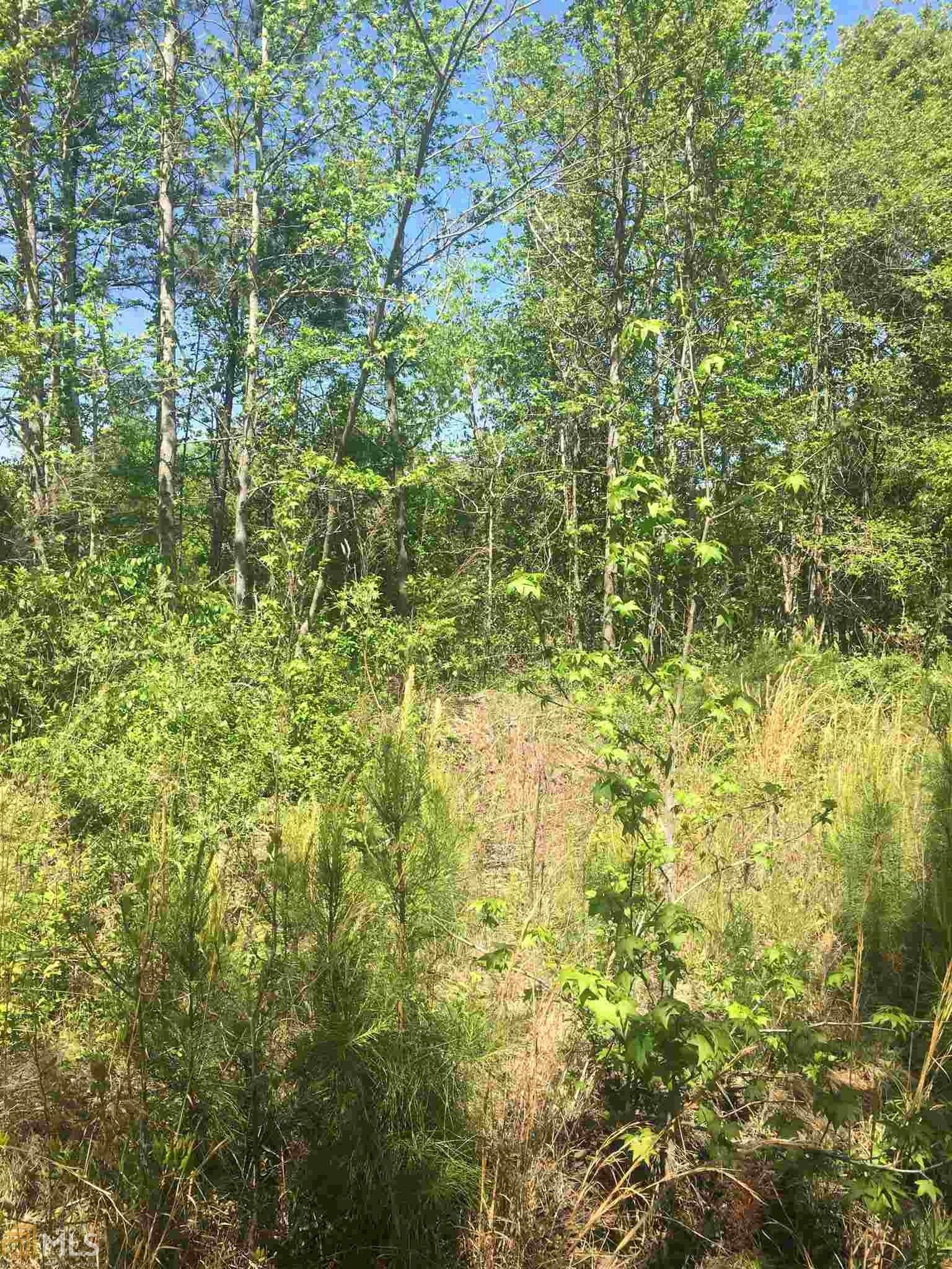 Barnesville, Lamar County, GA Undeveloped Land for sale Property ID