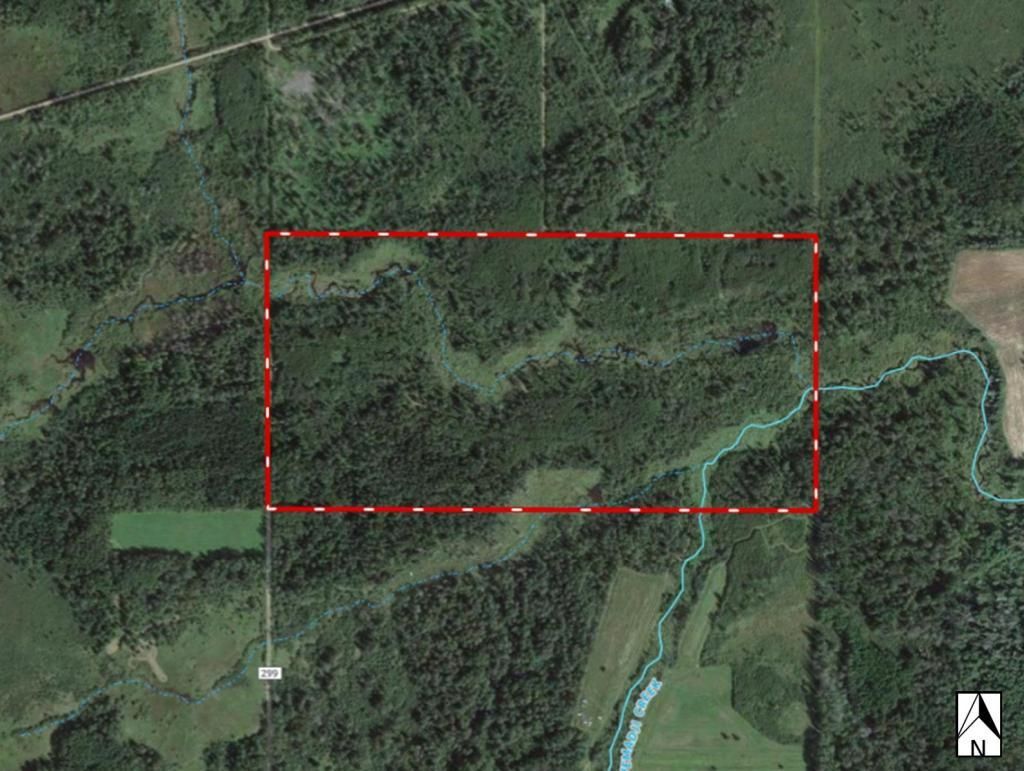 Moose Lake, Carlton County, MN Undeveloped Land, Lakefront Property