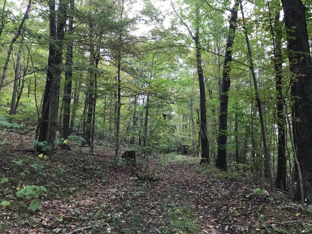 Clearfield, Clearfield County, PA Undeveloped Land for sale Property ID