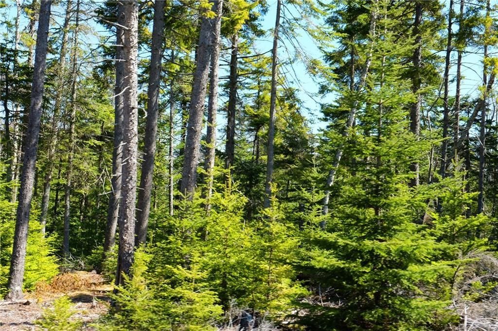 Tremont, Hancock County, ME Undeveloped Land, Homesites for sale