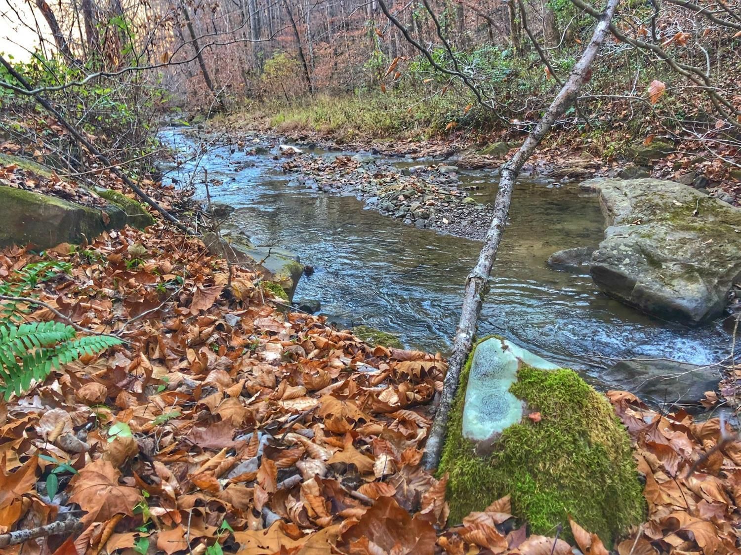 Flat Lick, Knox County, KY Undeveloped Land for sale Property ID