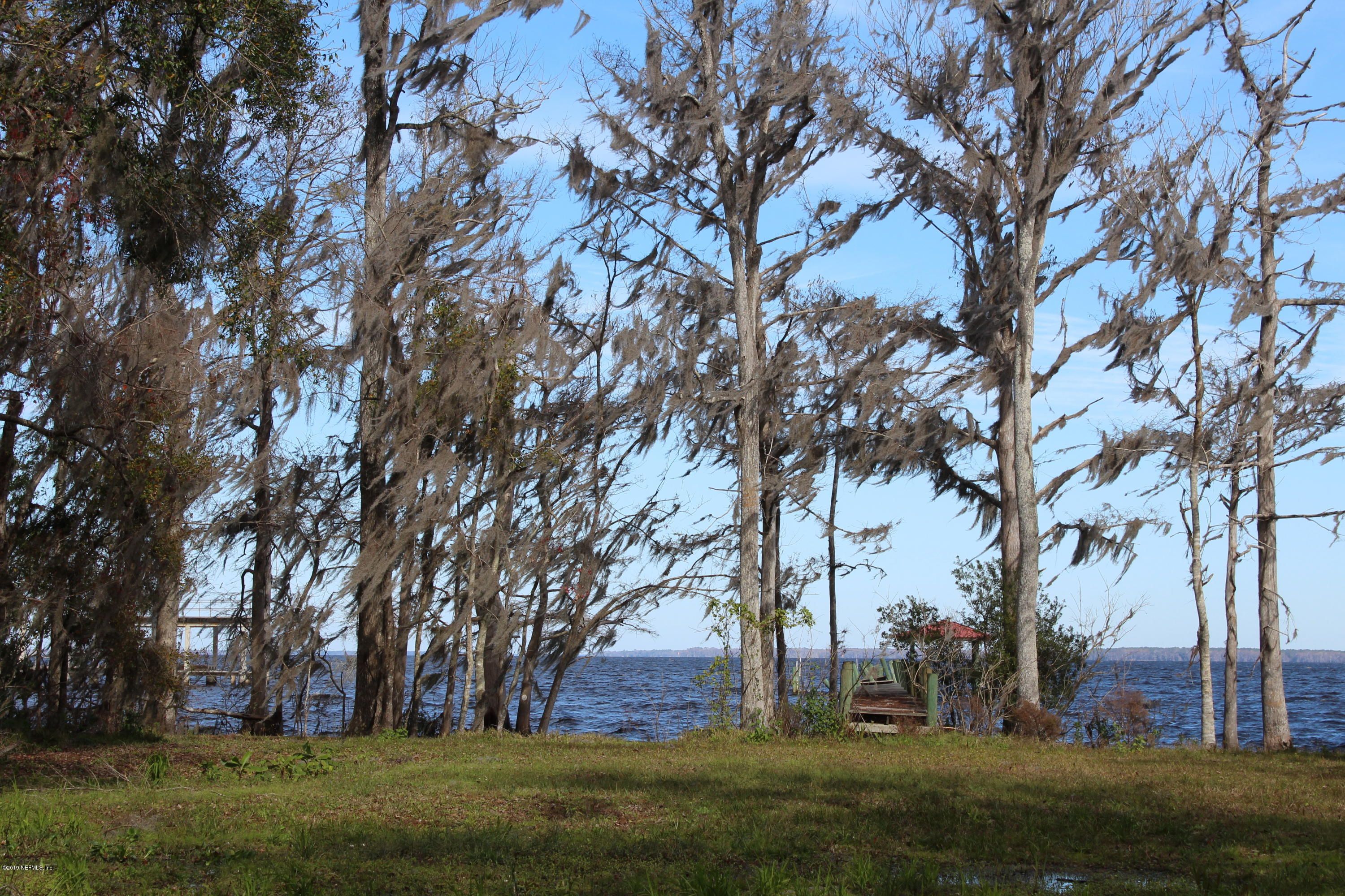 Palatka, Putnam County, FL Undeveloped Land, Lakefront Property