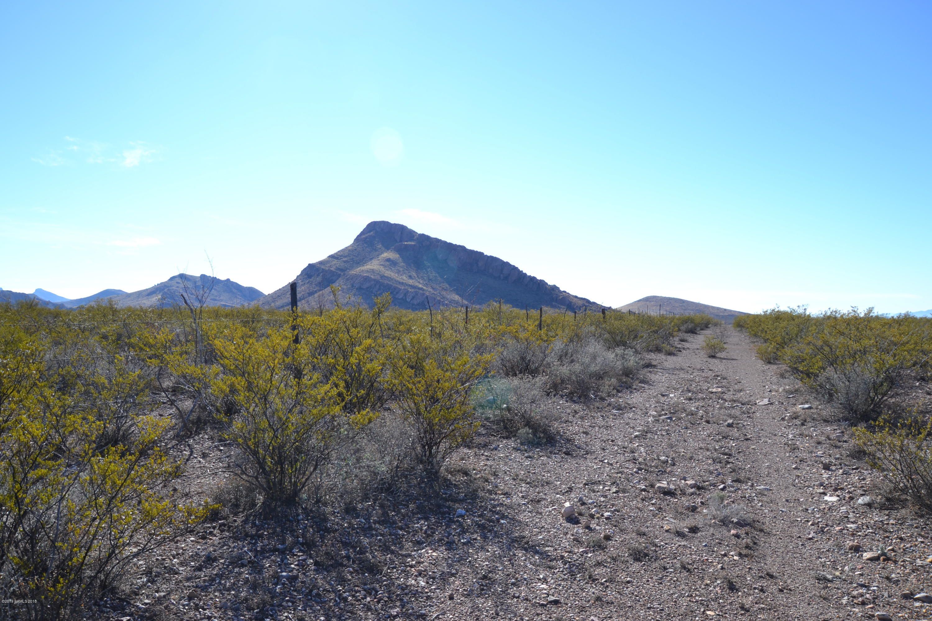 Douglas, Cochise County, AZ Undeveloped Land for sale Property ID