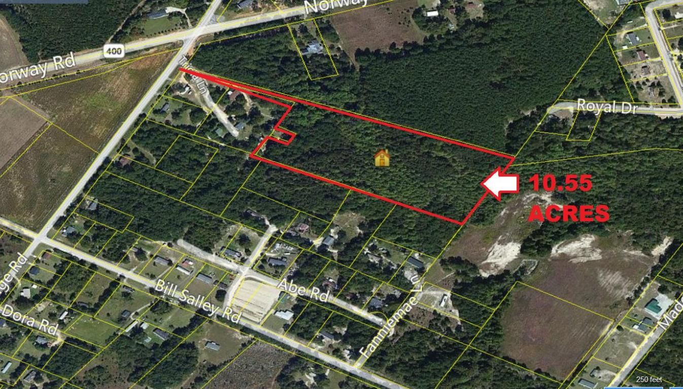 Orangeburg, Orangeburg County, SC Undeveloped Land for sale Property ID