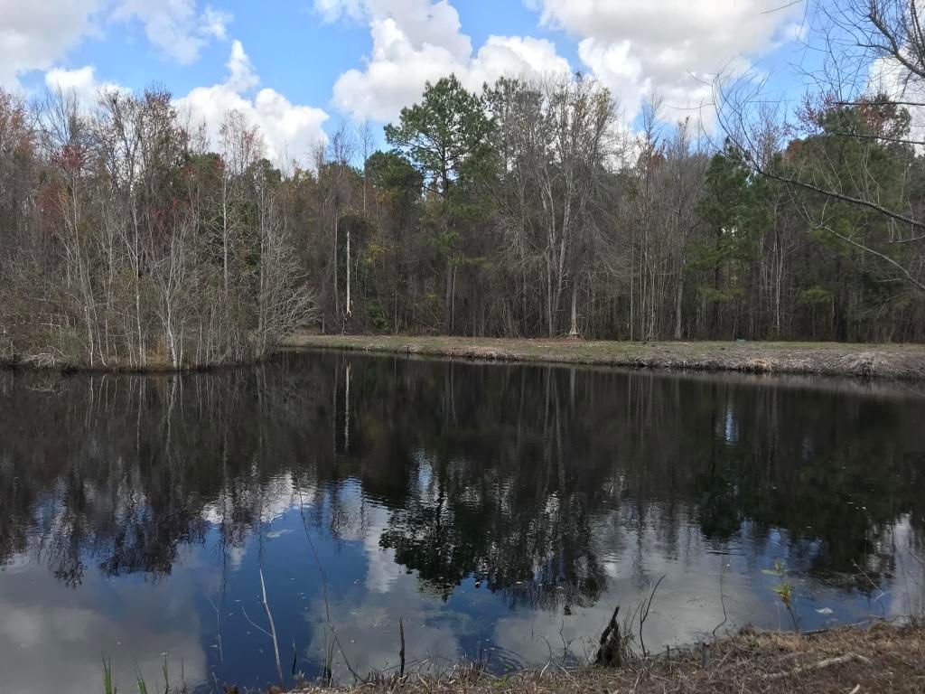 Cottageville, Colleton County, SC Undeveloped Land for sale Property ID