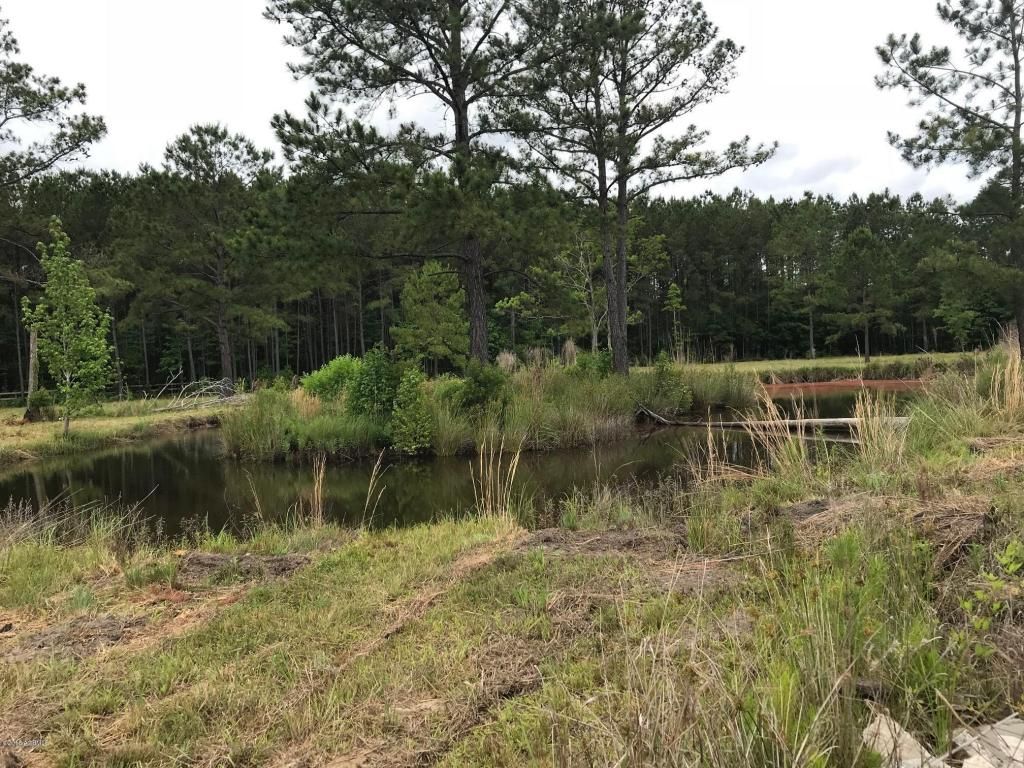 Ridgeland, Jasper County, SC Undeveloped Land for sale Property ID