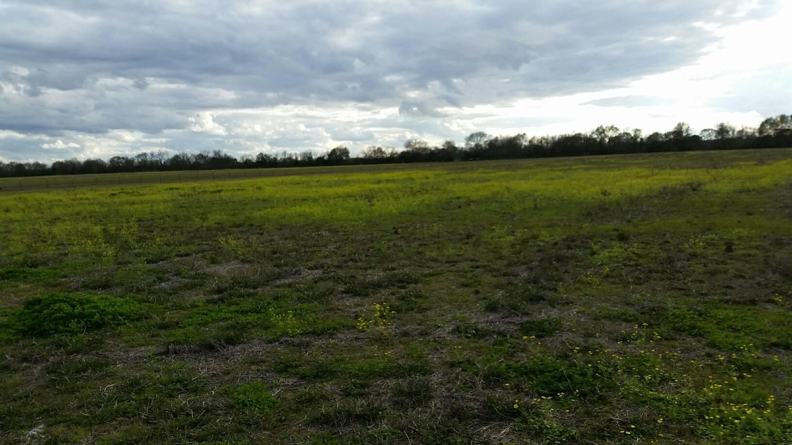 Opelousas, Saint Landry Parish, LA Farms and Ranches, Horse Property