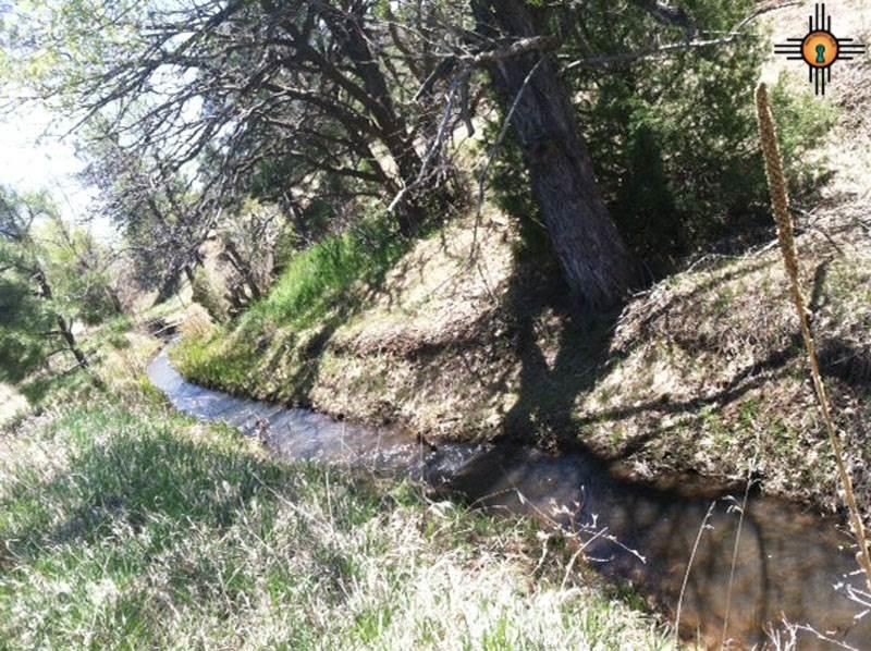 Mora, Mora County, NM Undeveloped Land for sale Property ID 333991847