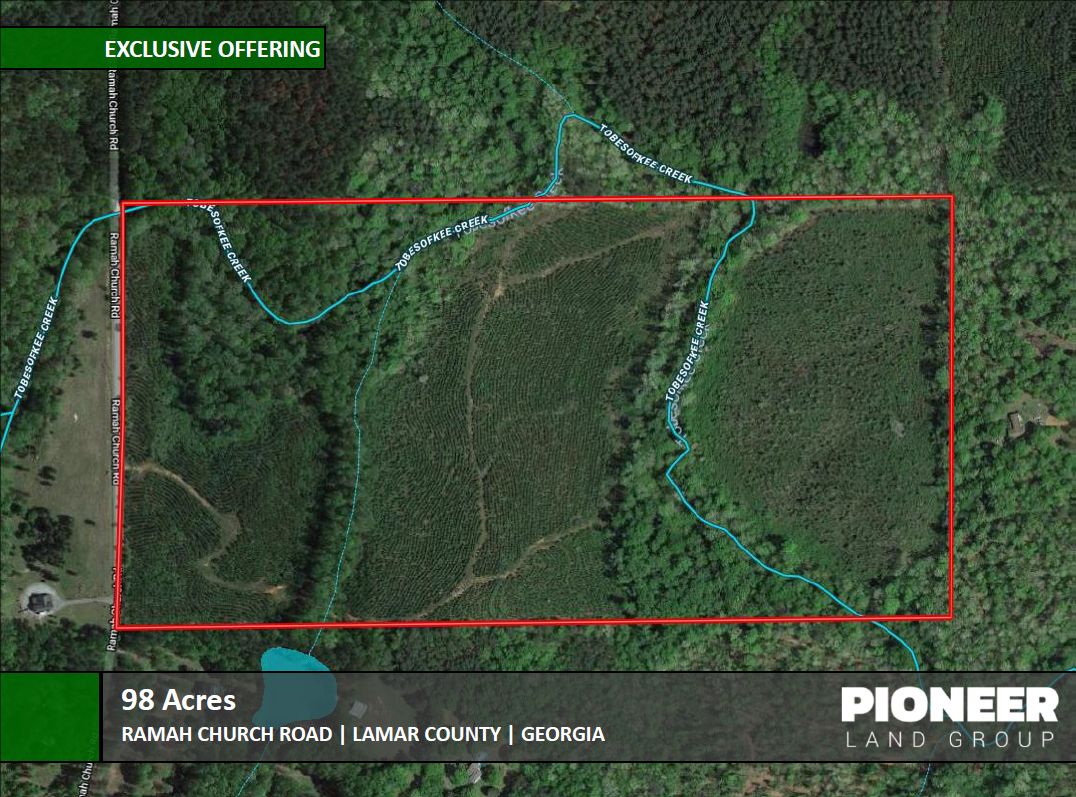 Barnesville, Lamar County, GA Undeveloped Land for sale Property ID