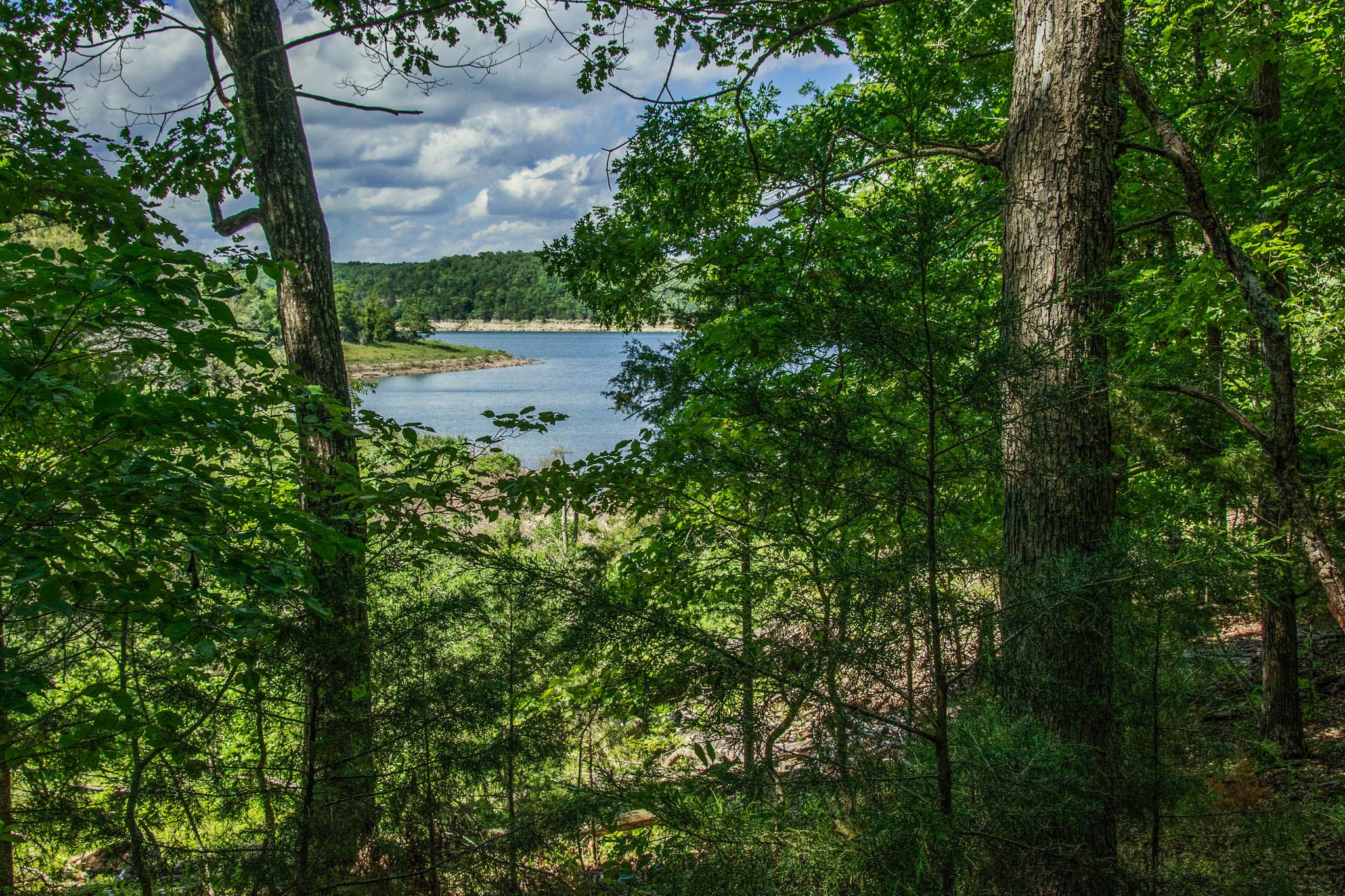 Theodosia, Ozark County, MO Undeveloped Land for sale Property ID 333972953 LandWatch