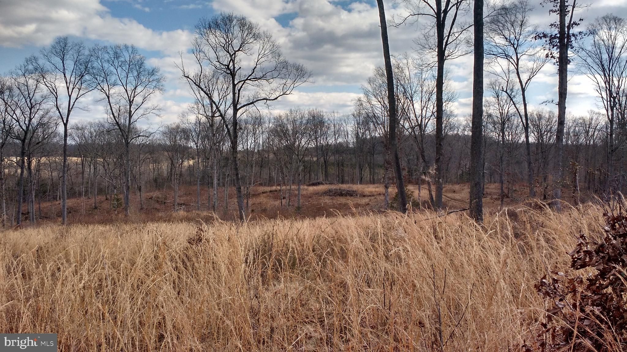 Rixeyville, Culpeper County, VA Undeveloped Land for sale Property ID