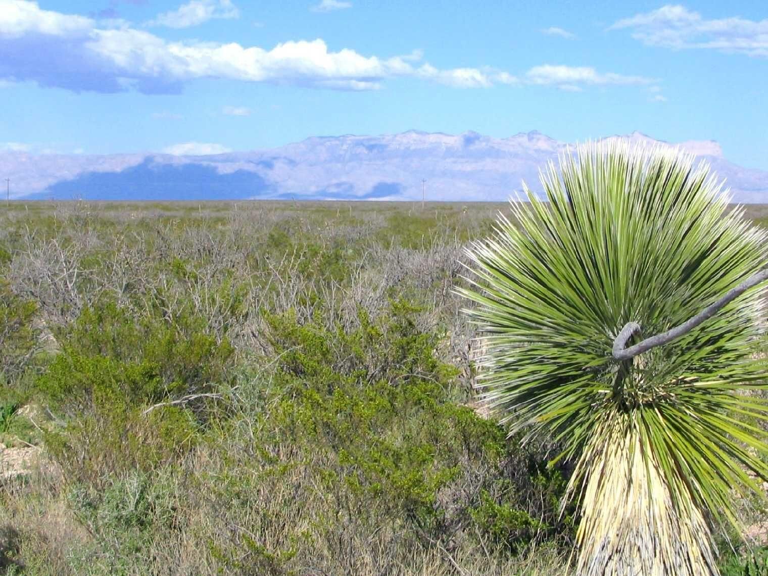 Dell City, Hudspeth County, TX Farms and Ranches, Recreational Property