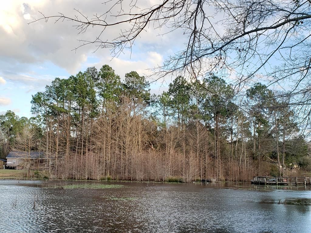 Eutawville, Orangeburg County, SC Undeveloped Land, Homesites for sale