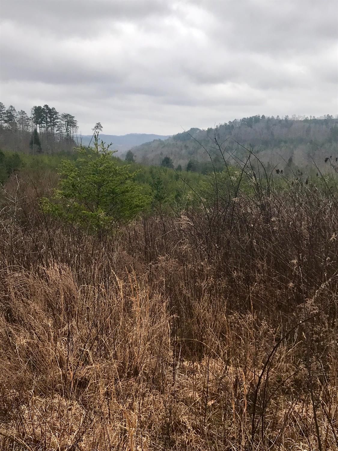 Booneville, Owsley County, KY Farms and Ranches for sale Property ID