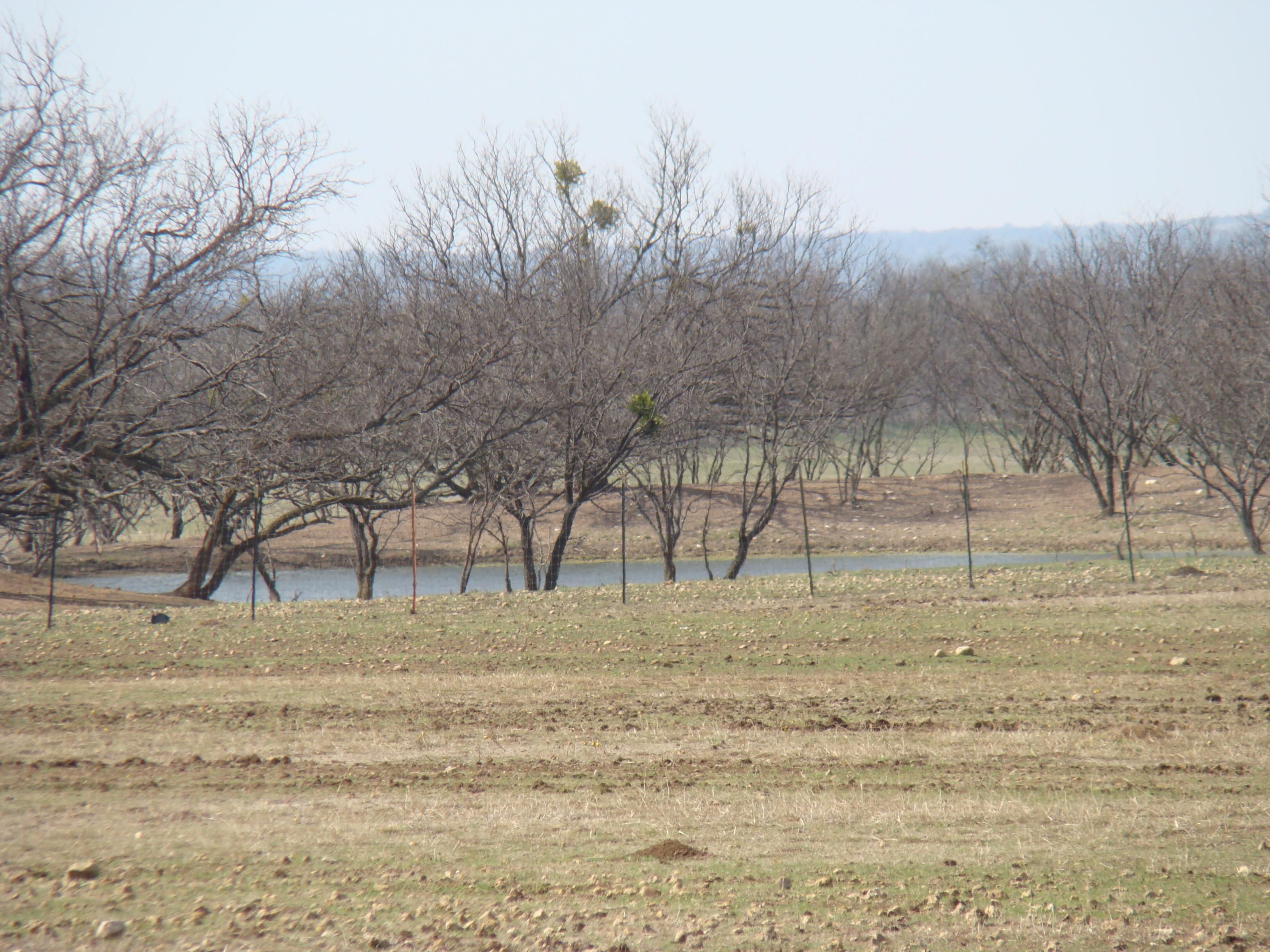 Cross Plains, Coleman County, TX Undeveloped Land for sale Property ID 334075664 LandWatch