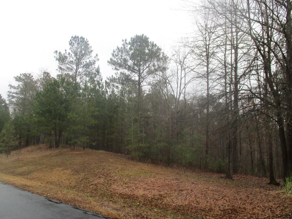 Cross Hill, Laurens County, SC Undeveloped Land, Lakefront Property