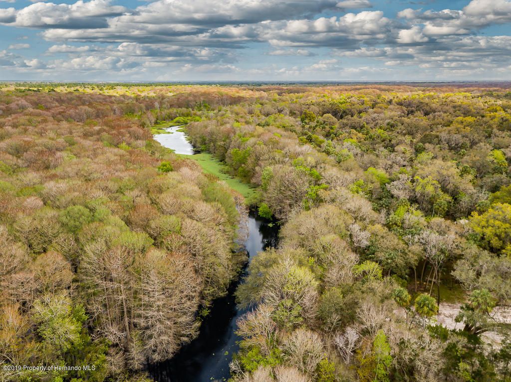 Inverness, Citrus County, FL Undeveloped Land, Lakefront Property