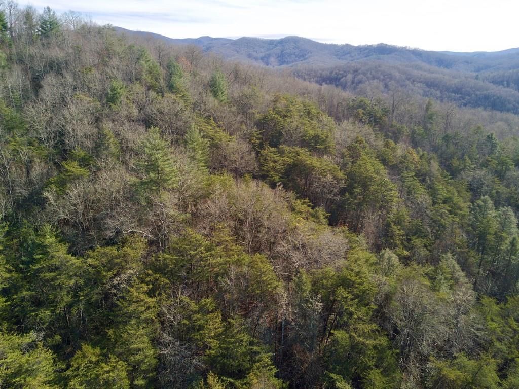 Nantahala, Macon County, NC Undeveloped Land for sale Property ID