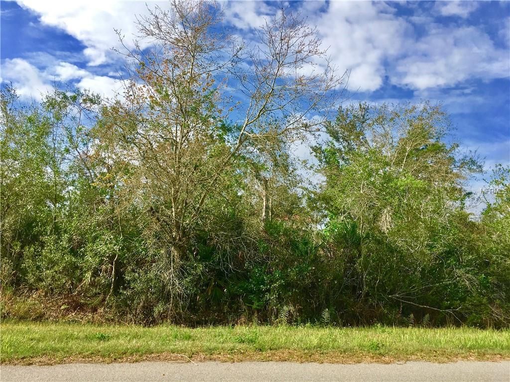 Wedgefield, Orange County, FL Farms and Ranches, Horse Property, Homesites for sale Property ID