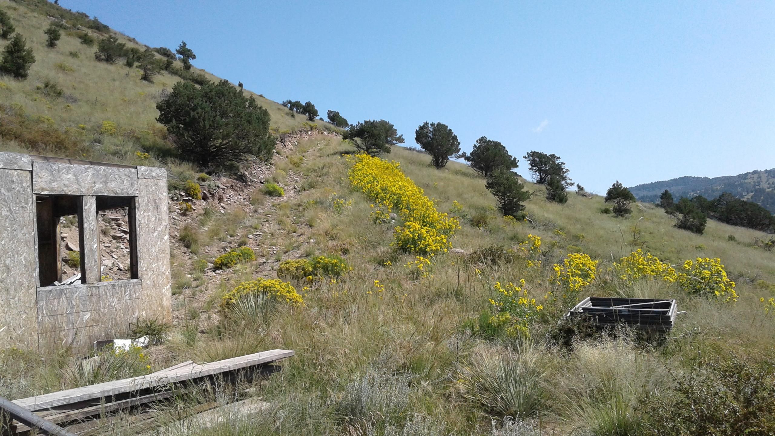 Westcliffe, Custer County, CO Recreational Property, Undeveloped Land