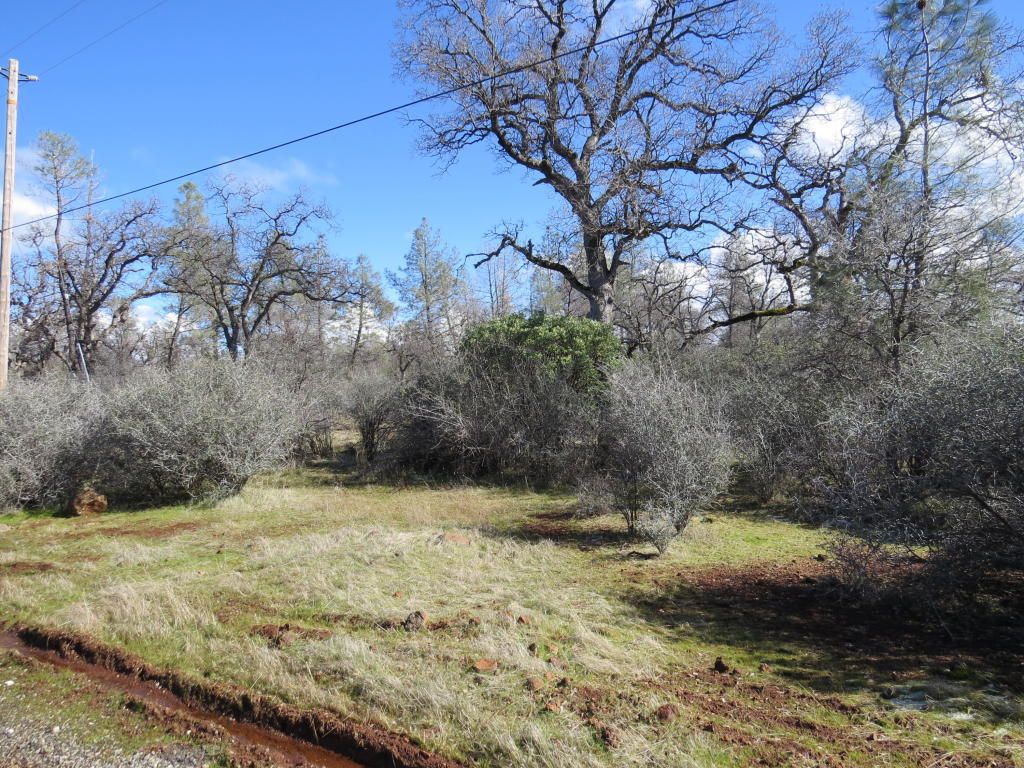 Shingletown, Shasta County, CA Undeveloped Land for sale Property ID