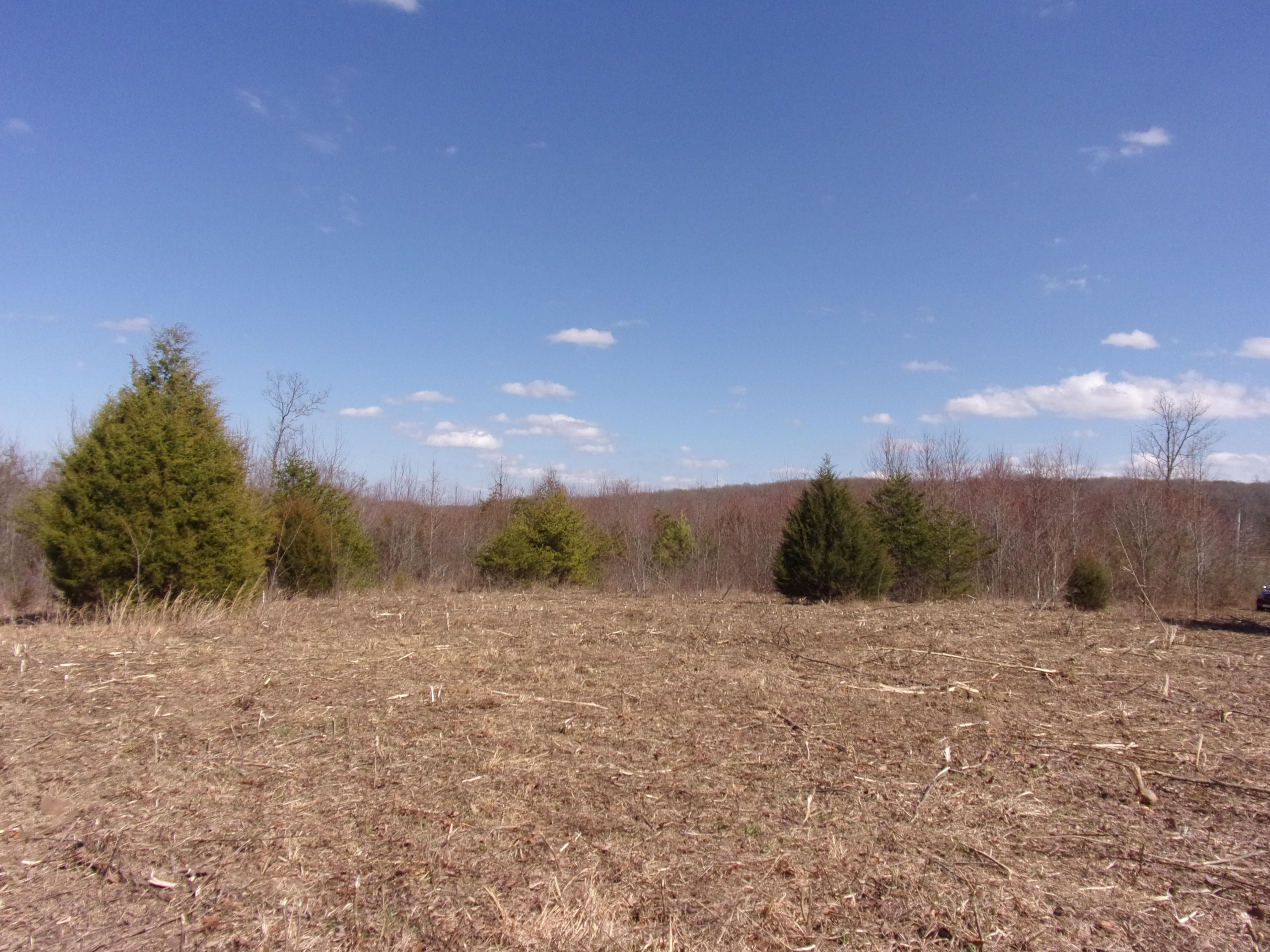 Pikeville, Bledsoe County, TN Horse Property for sale Property ID