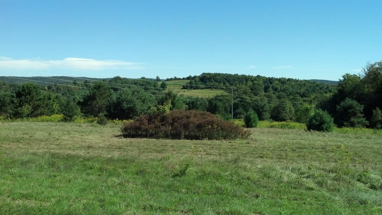 Morris, Otsego County, NY Undeveloped Land for sale Property ID