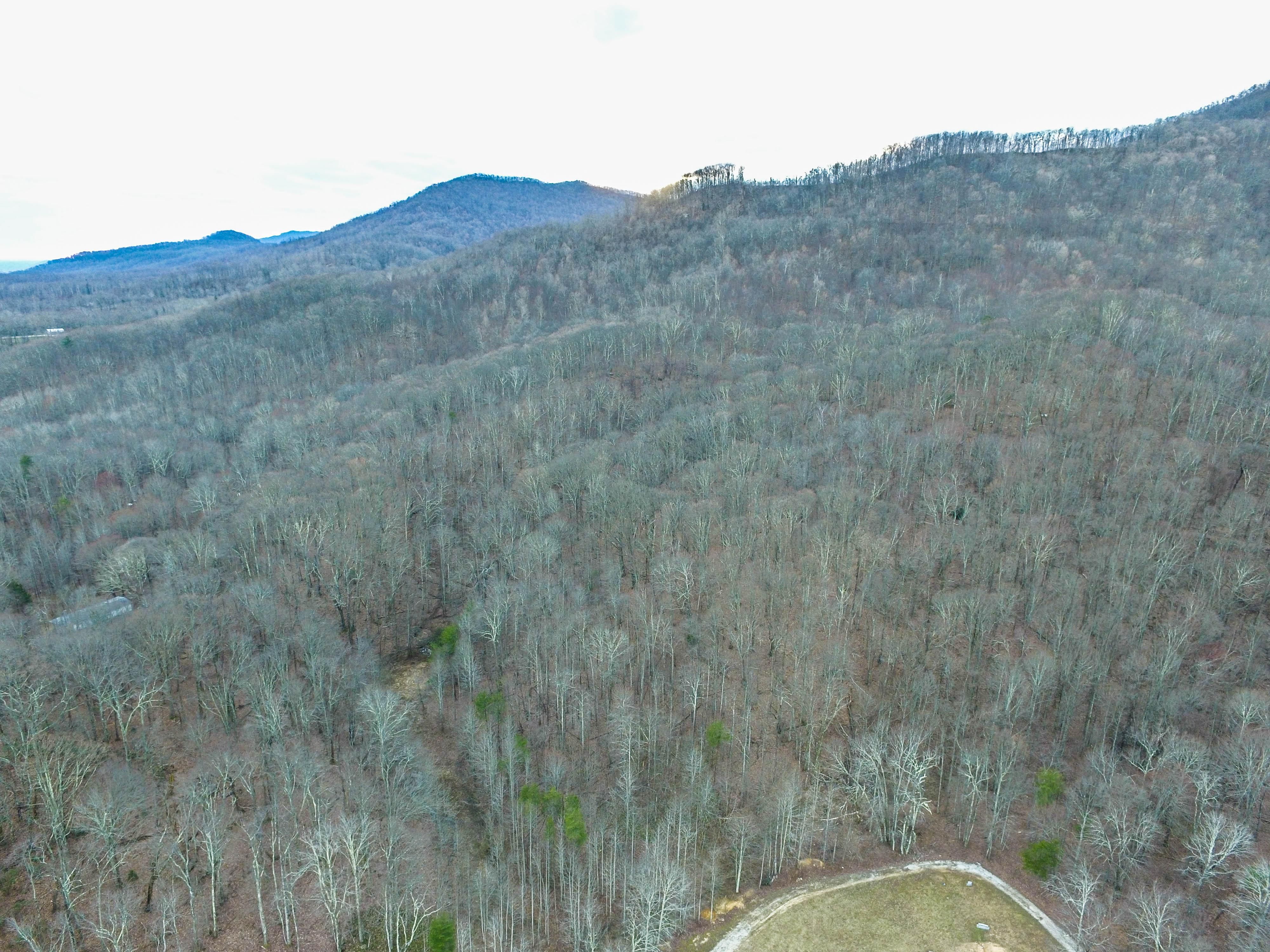 Briceville, Anderson County, TN Recreational Property, Hunting Property