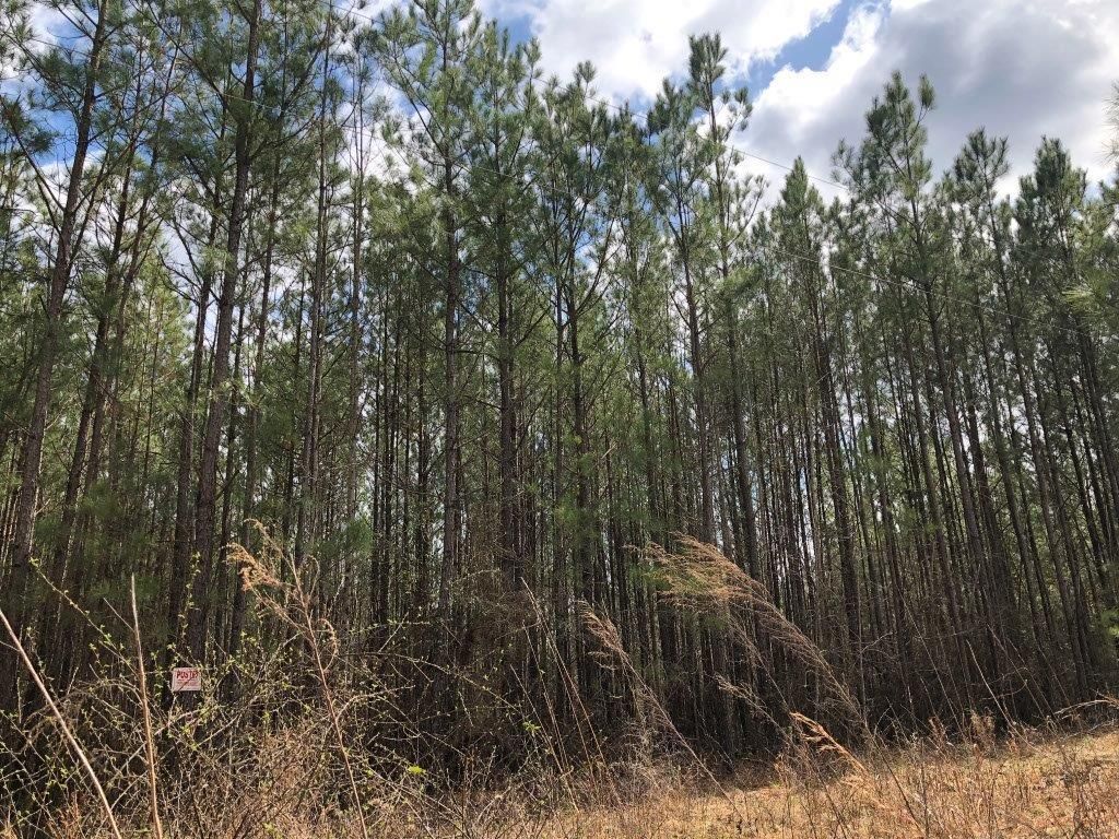 Crawfordville, Taliaferro County, GA Recreational Property, Hunting Property for sale Property