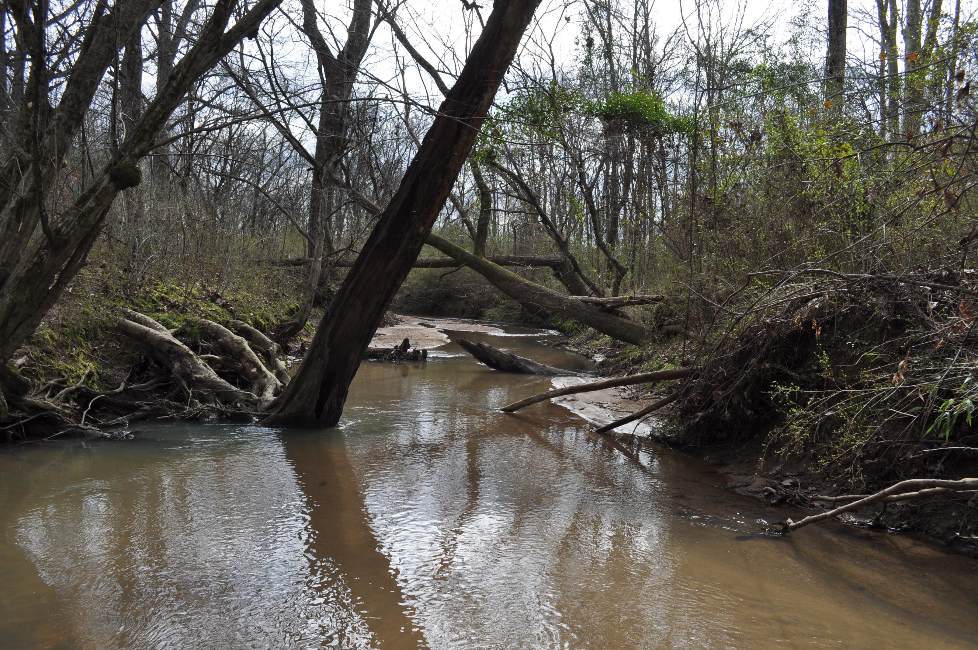 Elberton, Elbert County, GA Recreational Property, Hunting Property for